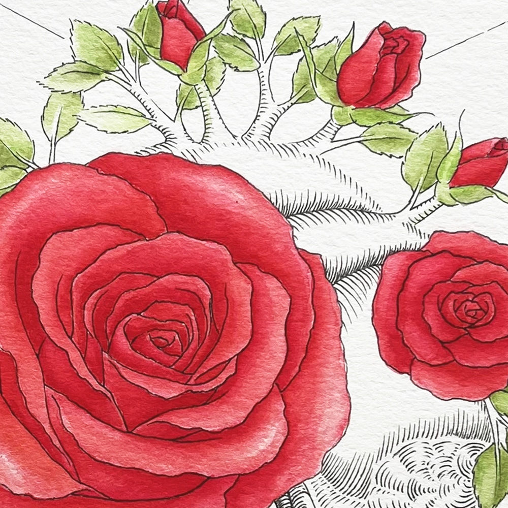 illustration©Suzanne Pinon, coeur et roses, détail