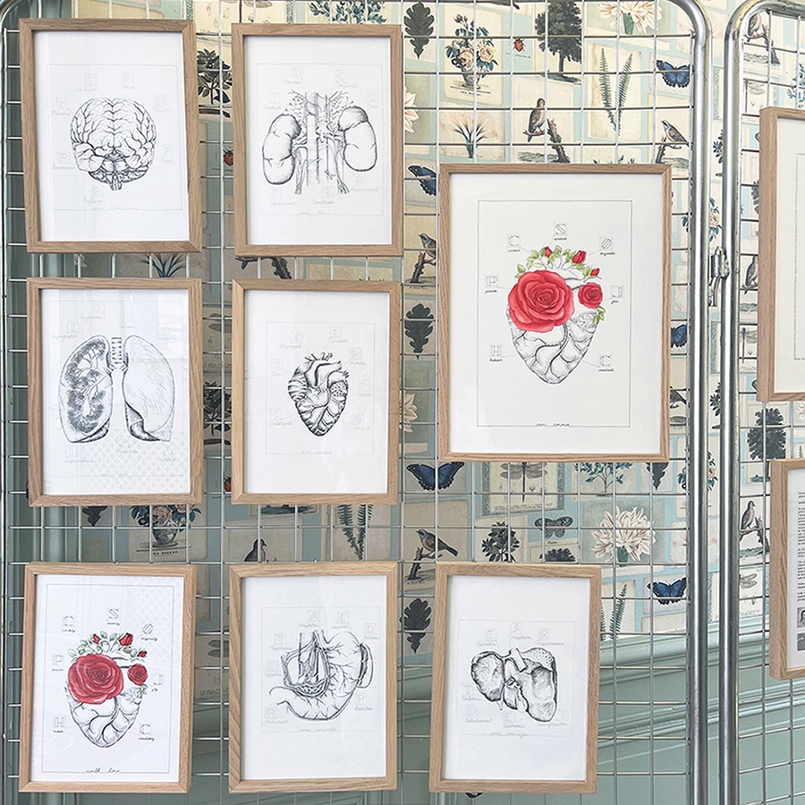 Dessins©Suzanne Pinon, exposés au seminaire cardiologie Au Tours des valves, 2026