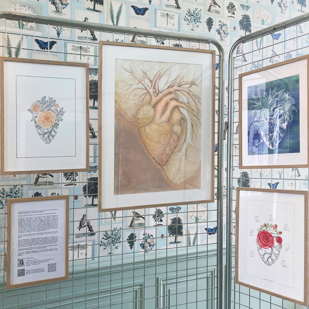 Dessins anatomiques ©Suzanne Pinon exposés au séminaire de cardiologie Au Tours des valves 2026